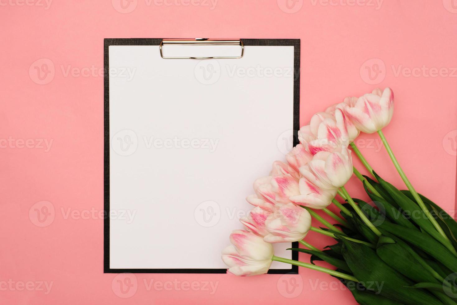 A beautiful bouquet of delicate pink tulips lies on a pink background with a place for your text on a white background photo