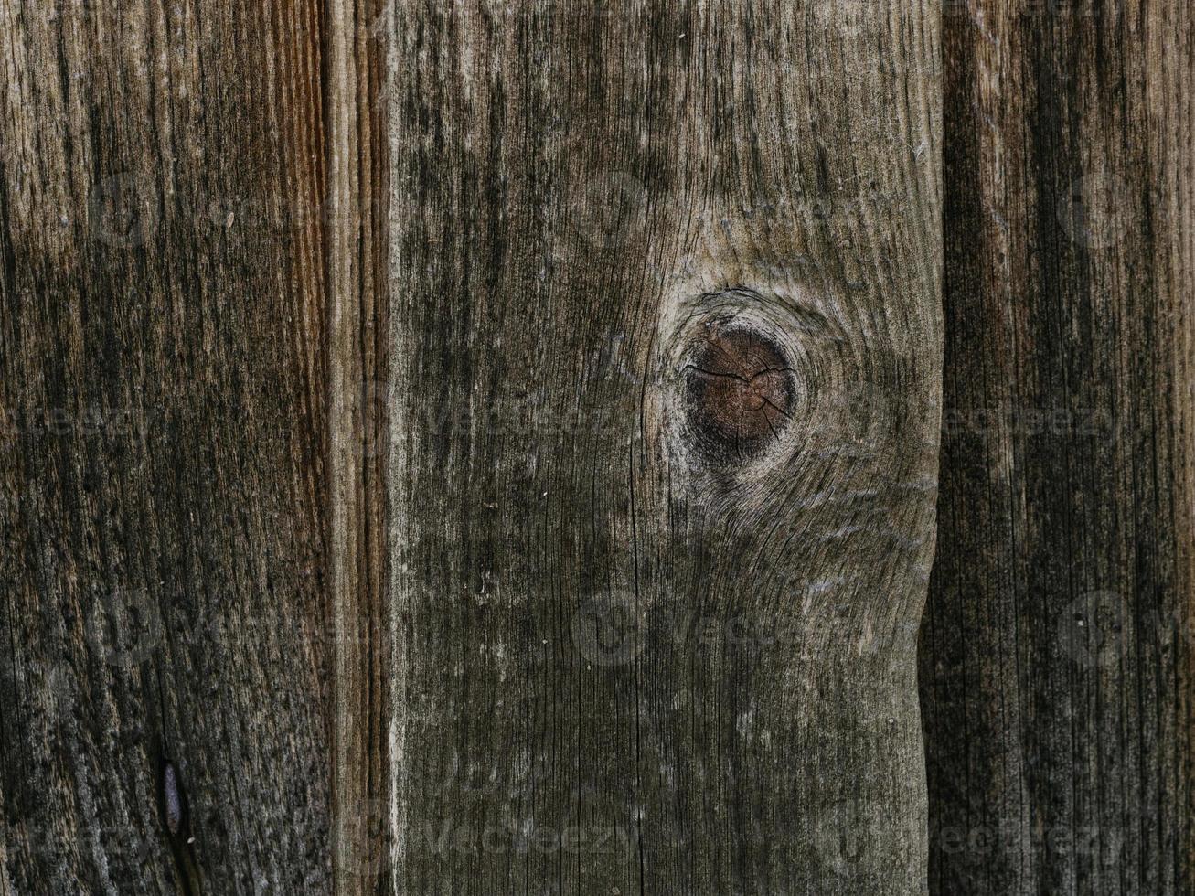Large background texture of the wall of gray old wooden boards photo