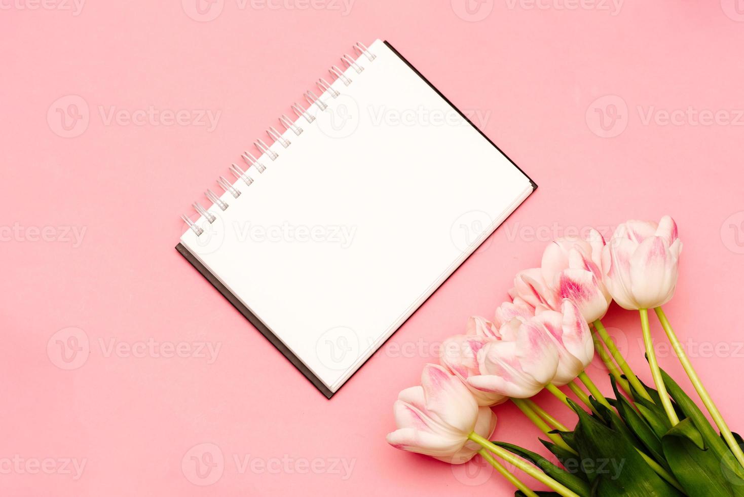 A beautiful bouquet of delicate pink tulips lies on a pink background with a place for your text on a white background photo