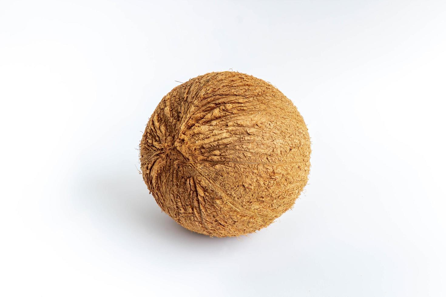Tropical fruit coconut isolated photo