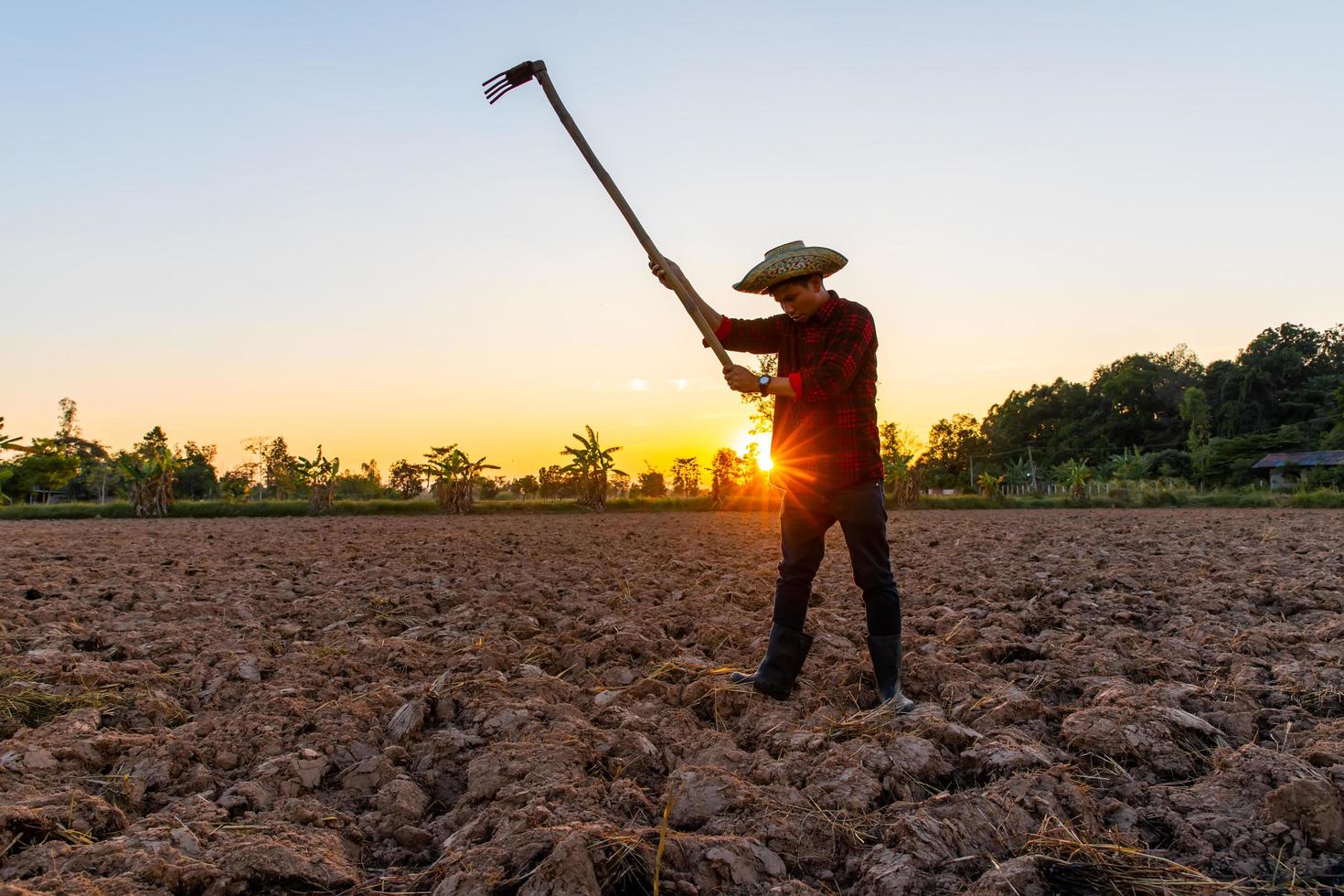 Farmer working on field at sunset outdoor photo