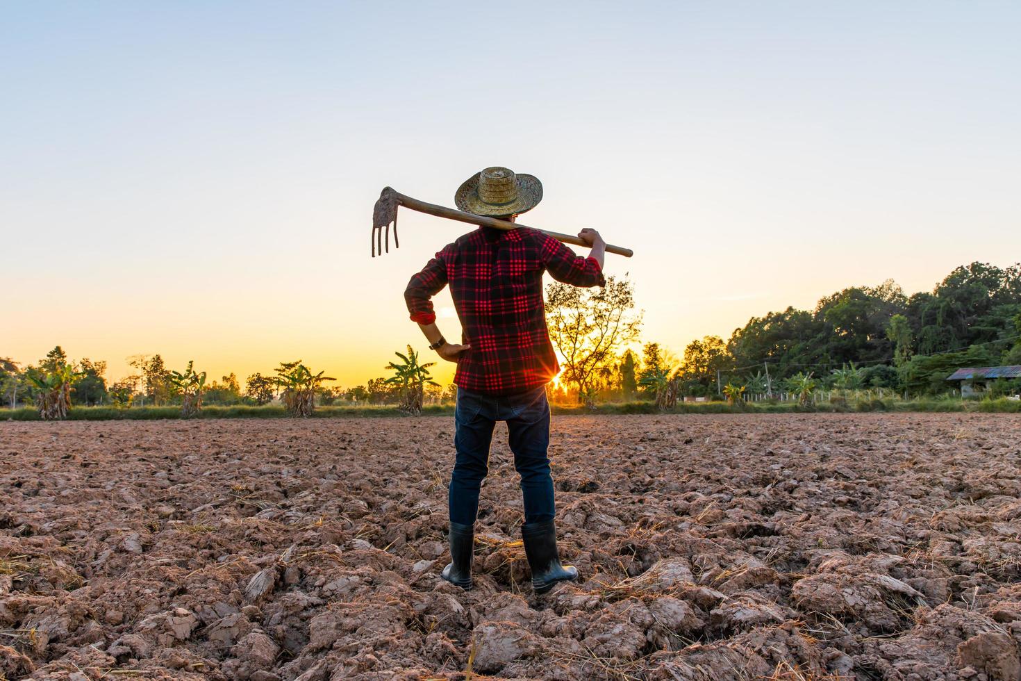 Farmer working on field at sunset outdoor photo