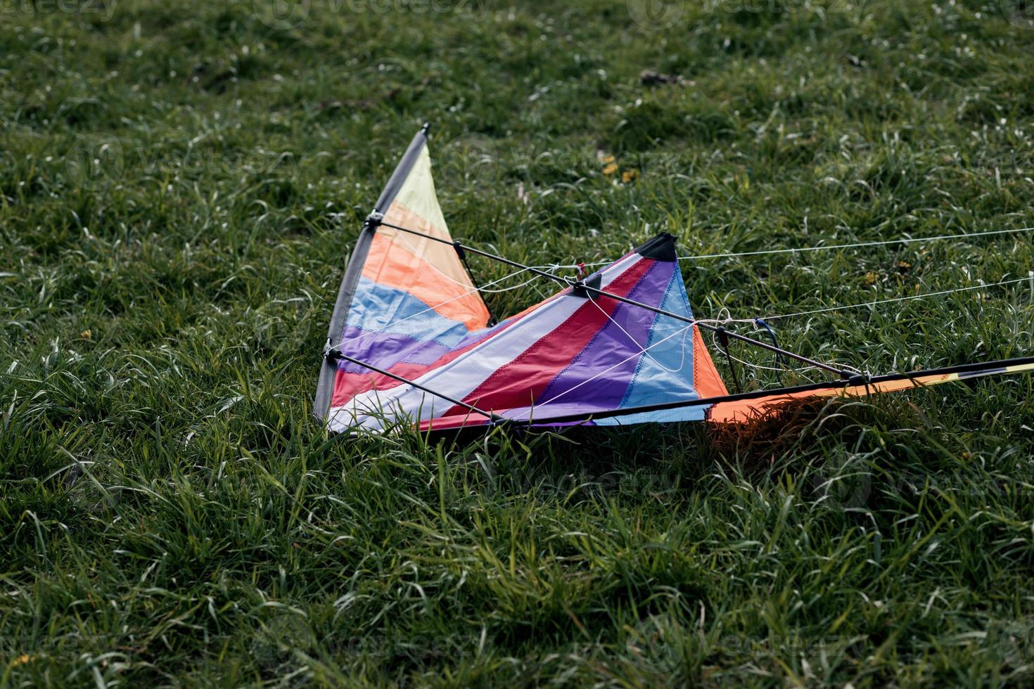 kite on the grass photo