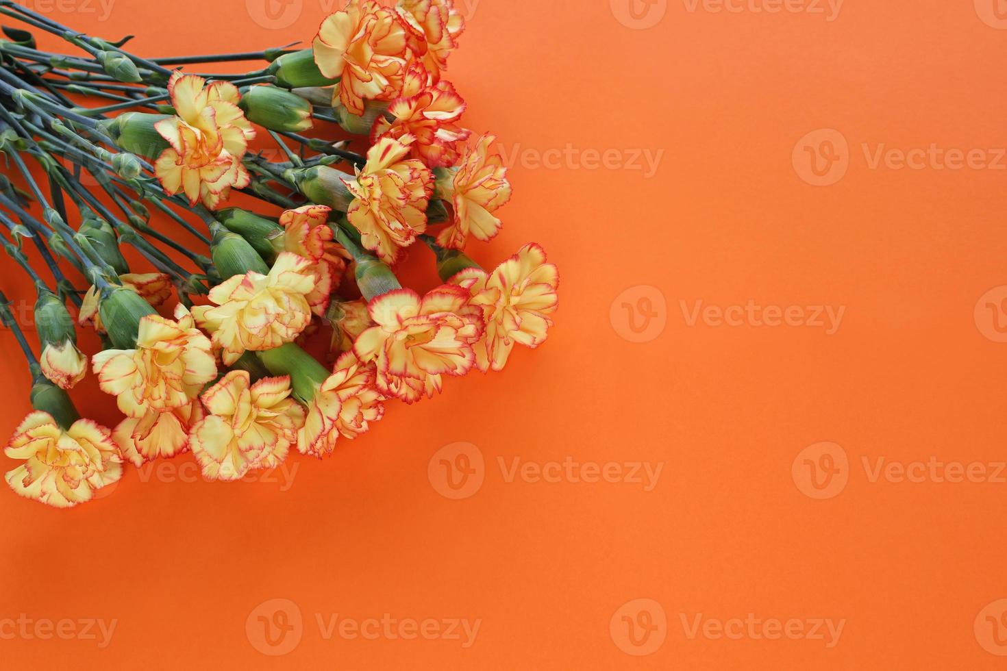 Bouquet of red-yellow carnations in top left corner on orange paper background. Memory symbol. Victory Day. Veterans Day. Greeting card with place for text. photo