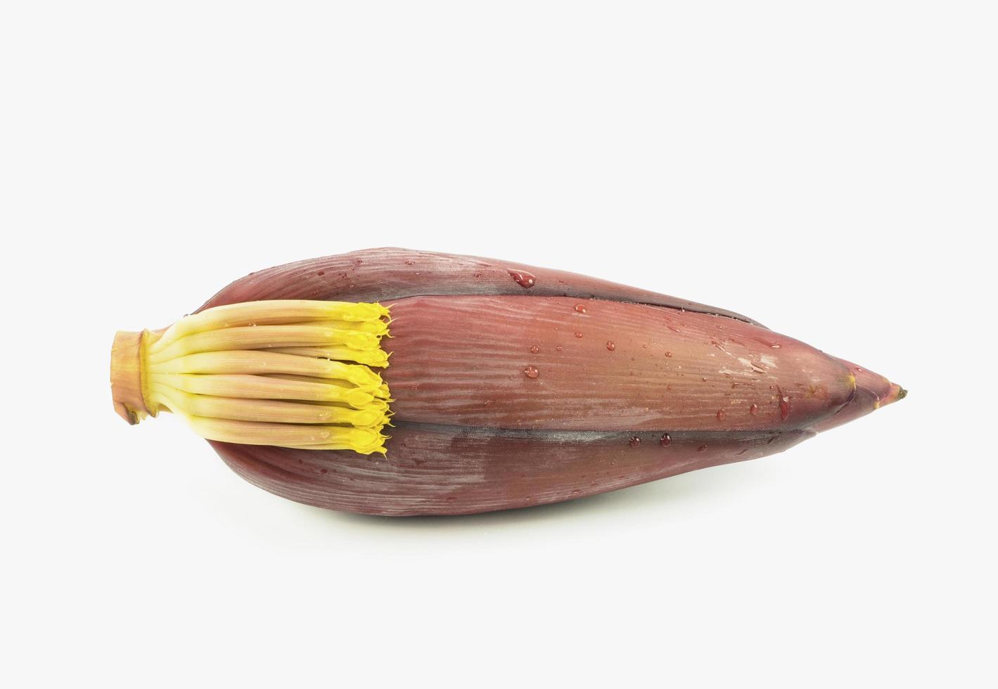 clean banana blossom on white background photo