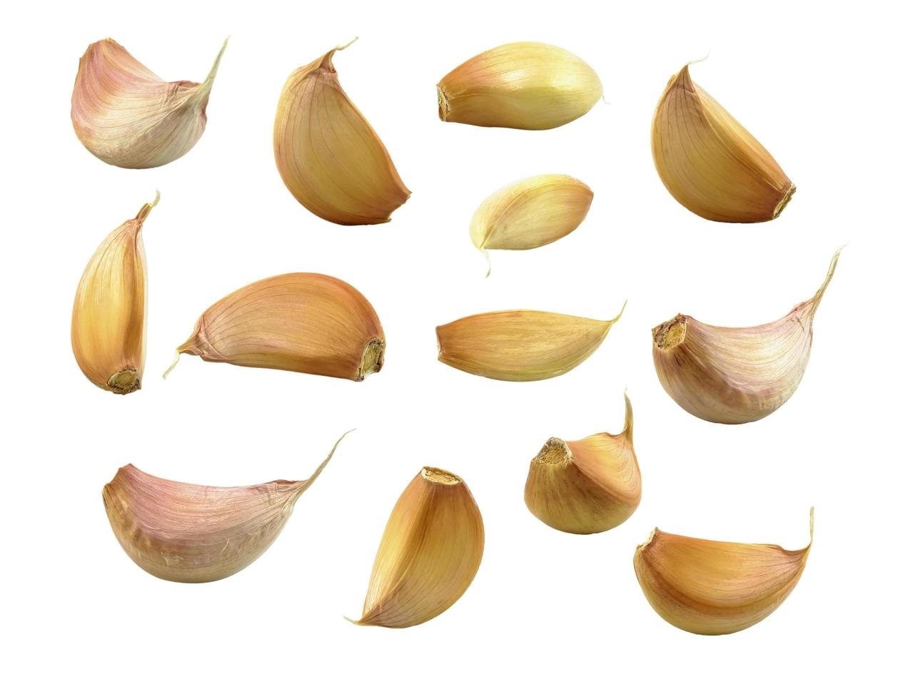 garlic bulb in different size photo