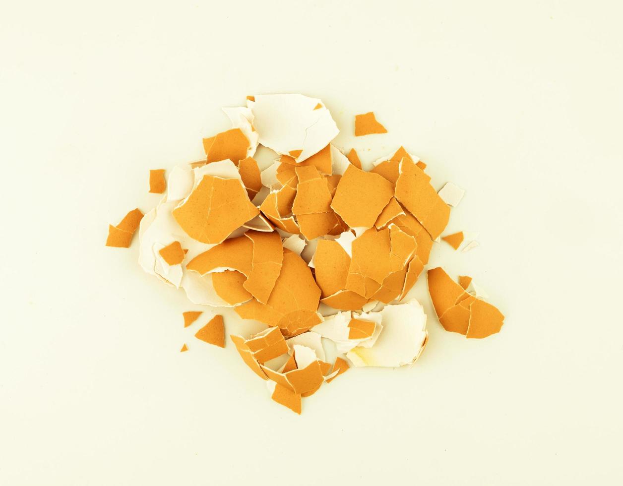 top view of broken egg shell photo