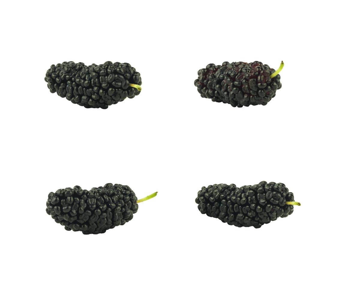 isolated mulberry fruit photo