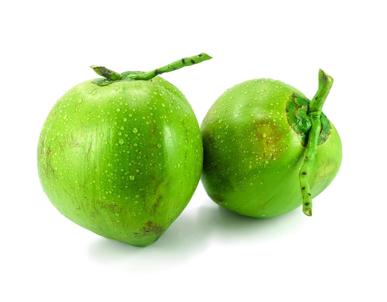 coconut on white background photo