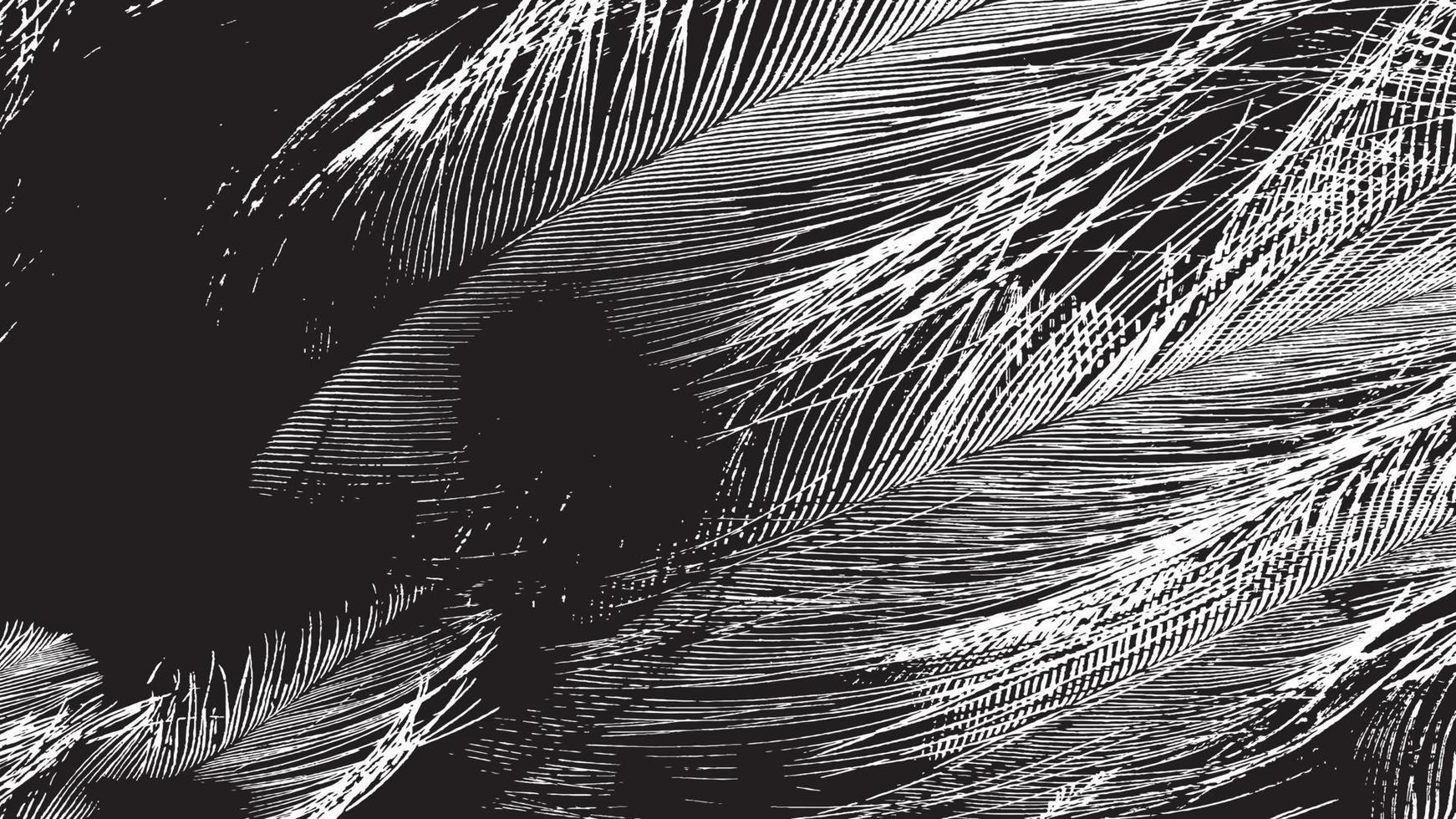 textura de superposición envejecida, fondo de grunge abstracto en blanco y negro, suciedad vectorial envejecida, textura de astillas, grietas, rasguños, desgastes, polvo, suciedad. vector