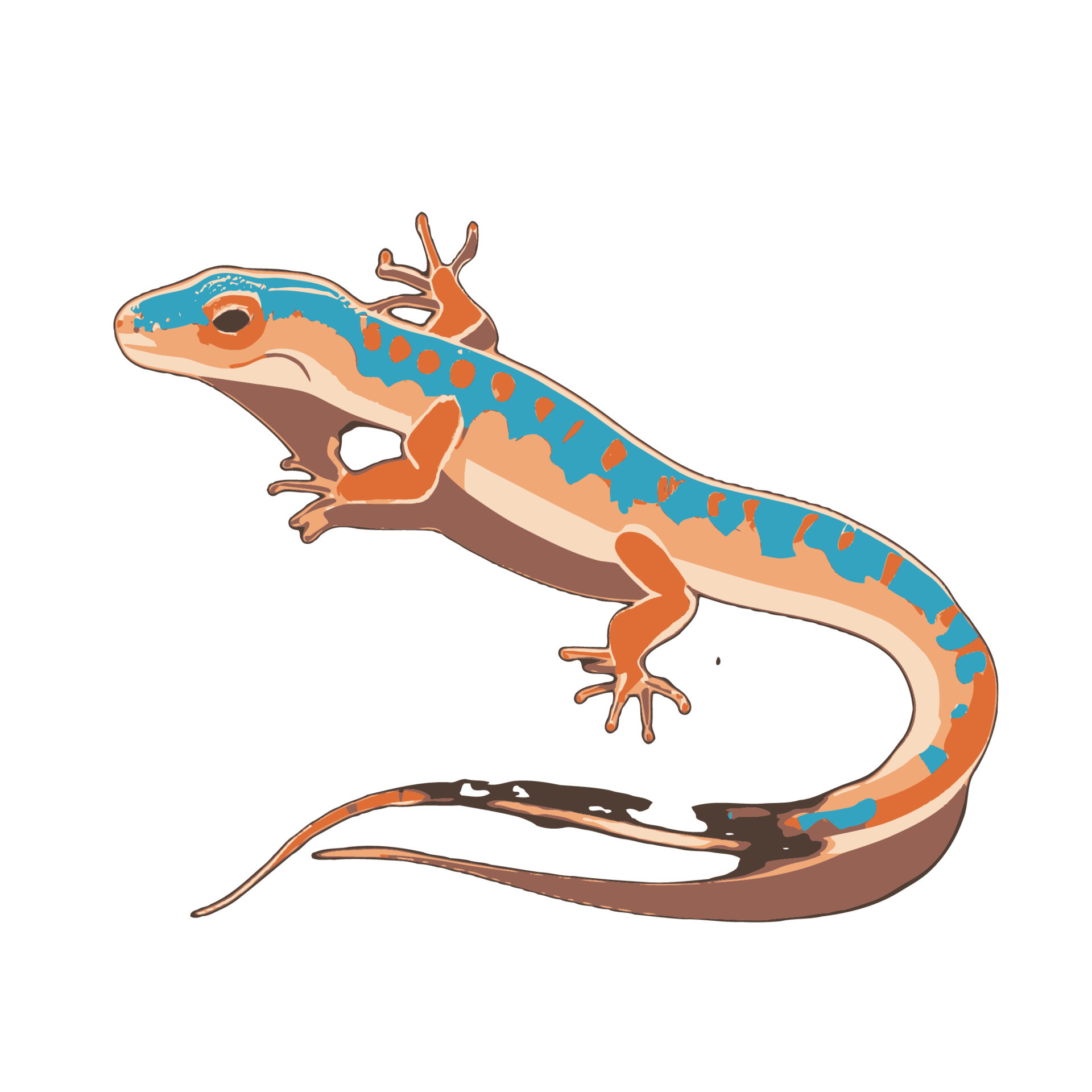 Lizard gecko illustration artwork vector graphic, cute geckos