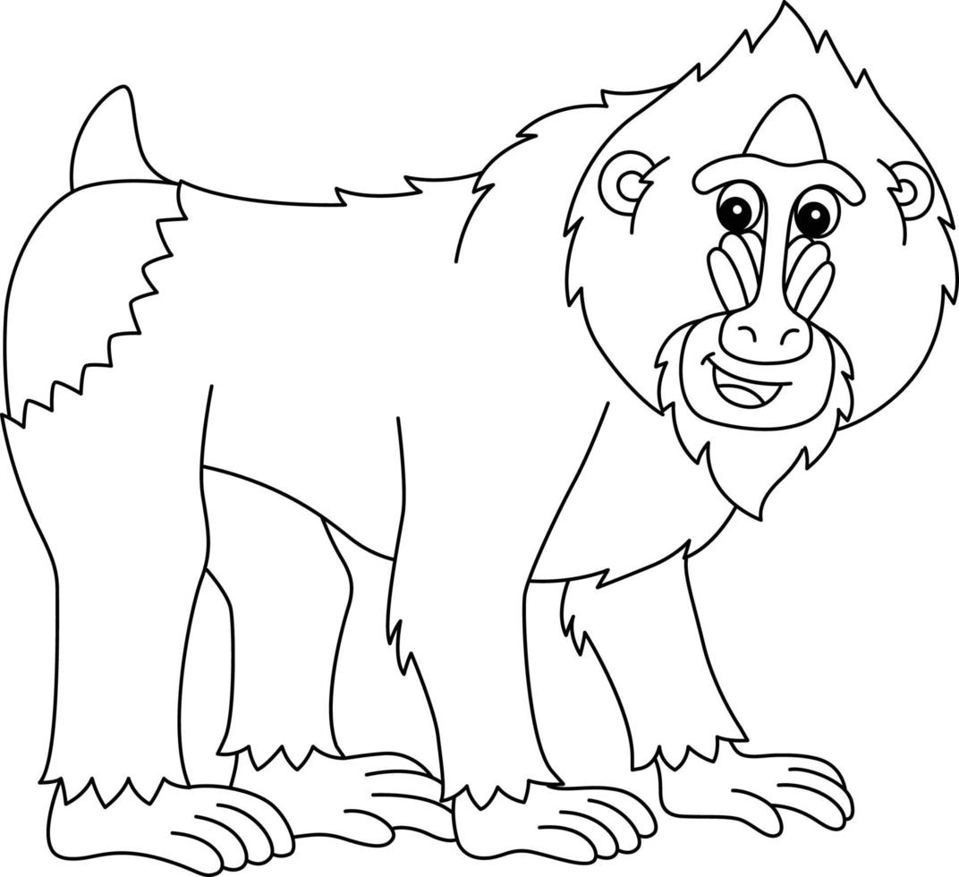 Mandrill Animal Isolated Coloring Page for Kids vector