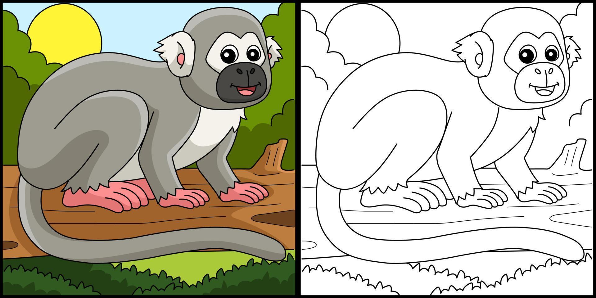 Squirrel Monkey Animal Coloring Page Illustration vector