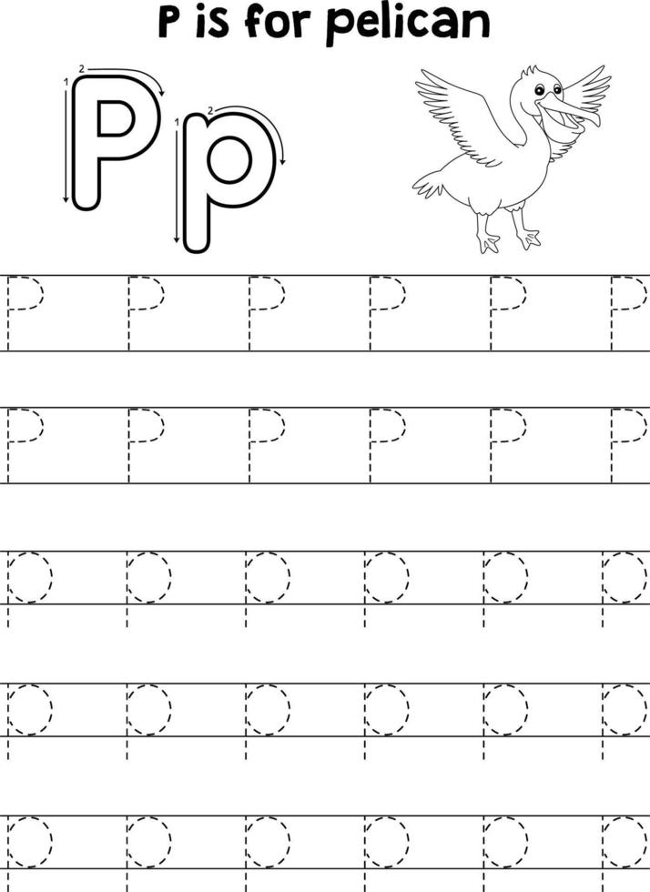 Pelican Animal Tracing Letter ABC Coloring Page P vector