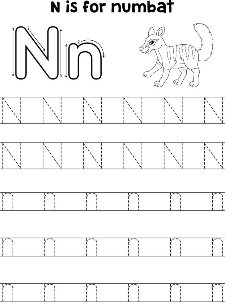 Numbat Animal Tracing Letter ABC Coloring Page N vector