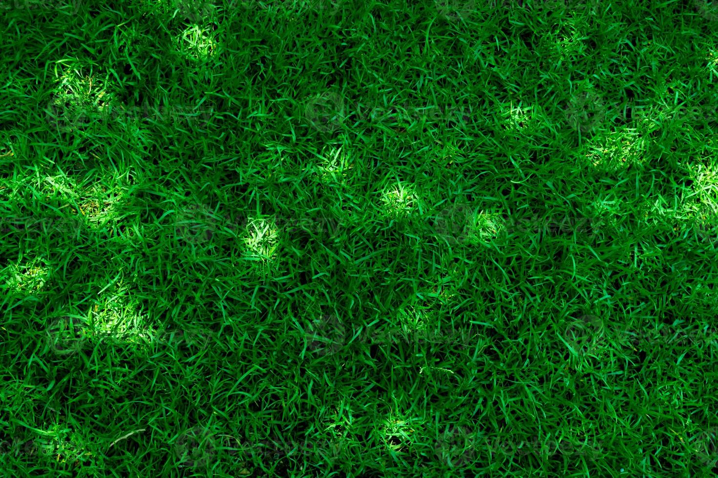 Nature spring green grass background texture and Summer season background with light some spots photo