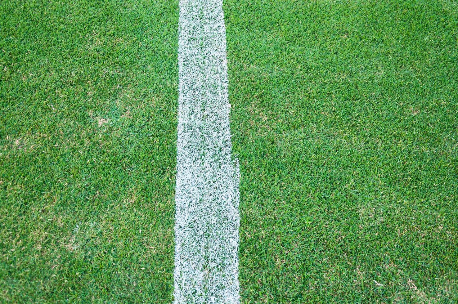 Real Green grass texture of a soccer field,soccer field outdoor,line on football field photo