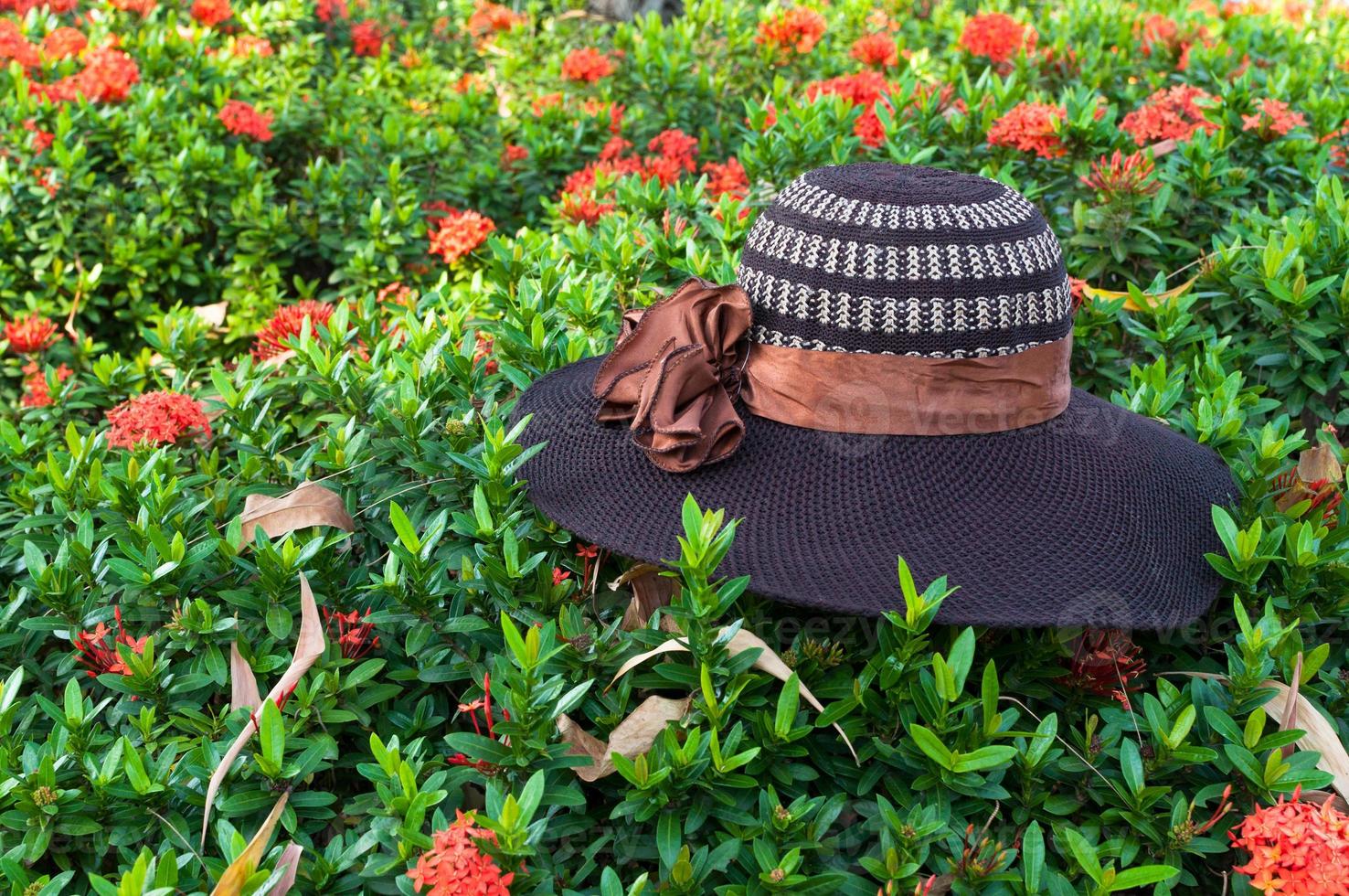 Hat weave hand on leaves green nature background hat, ladies, straw photo