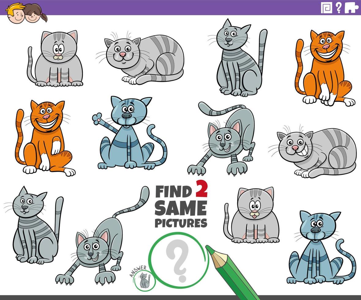 encontrar dos mismo dibujos animados gato caracteres educativo tarea vector