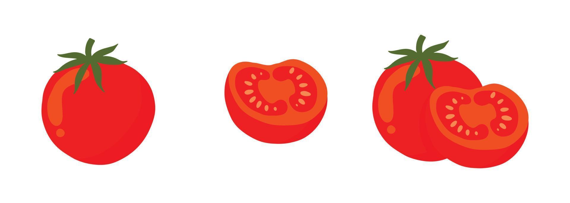 set of tomato illustration in group, slice and single vector