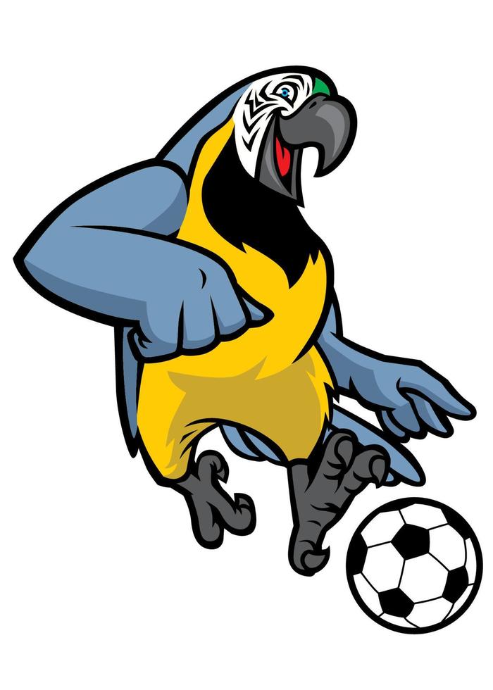 macaw bird playing soccer vector