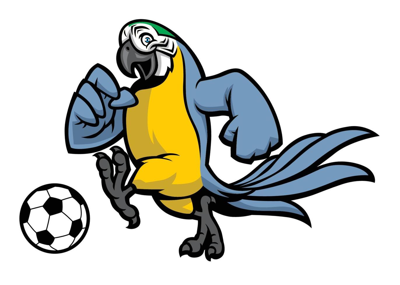 guacamayo pájaro fútbol mascota vector