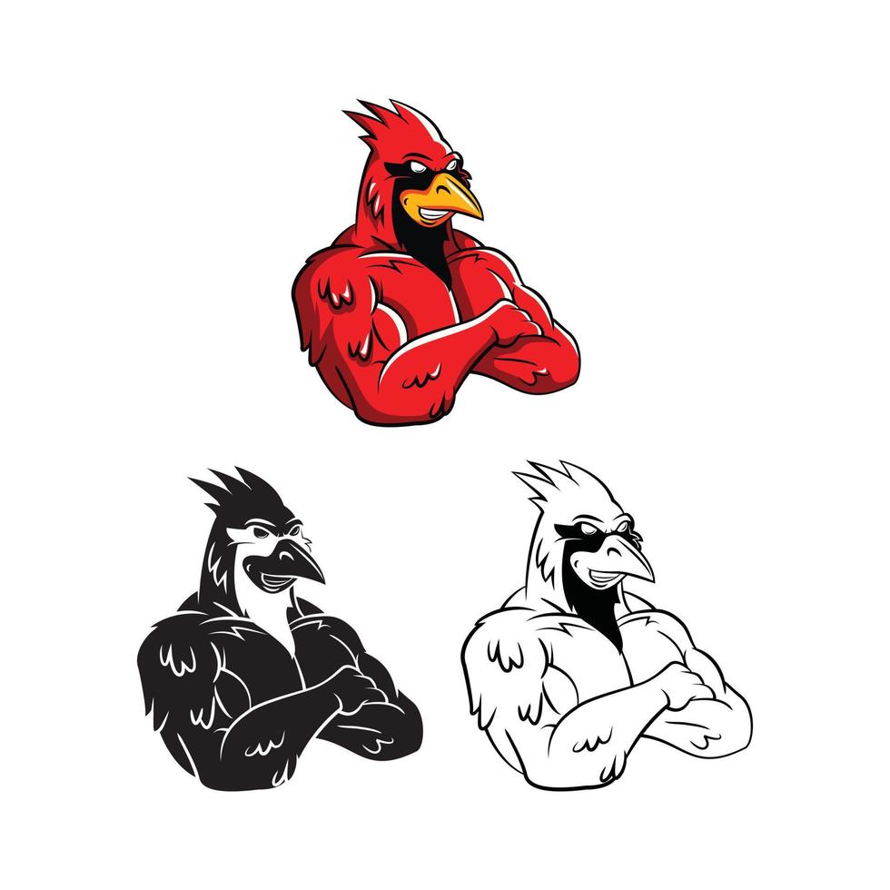cardenal aves ilustración colección en blanco antecedentes vector