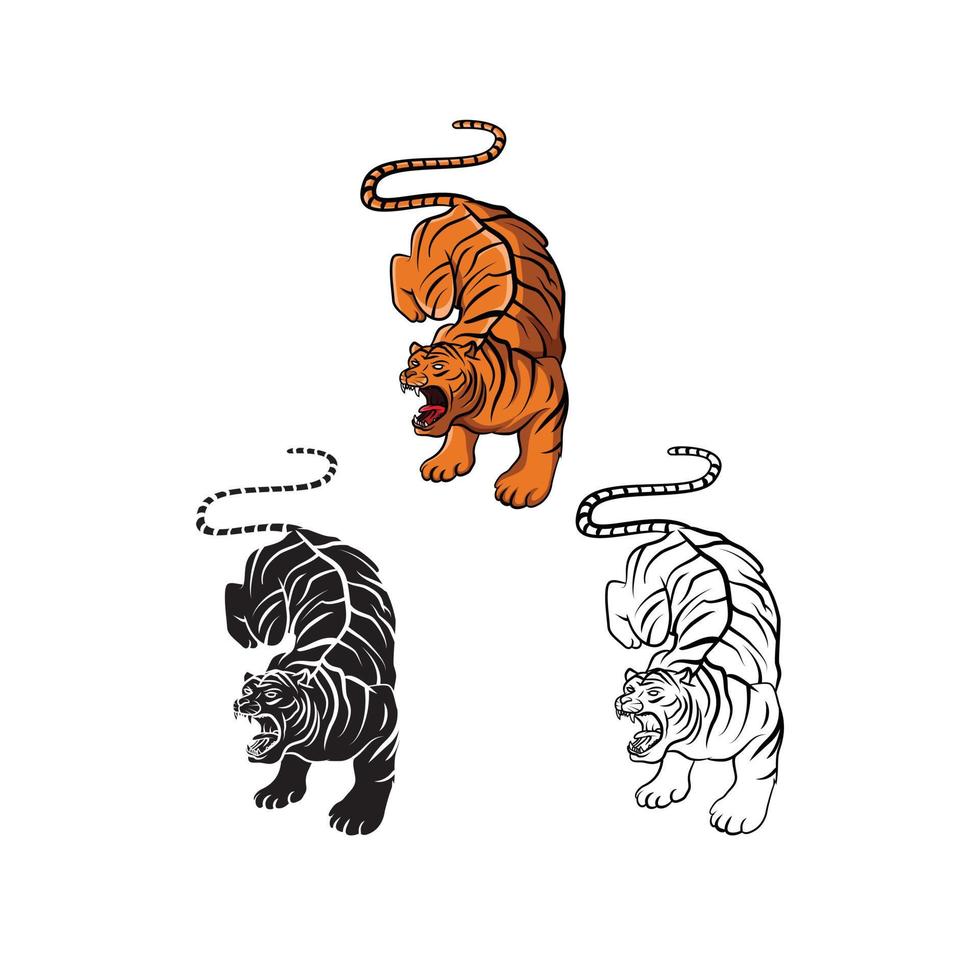 Tigers illustration collection on white background vector