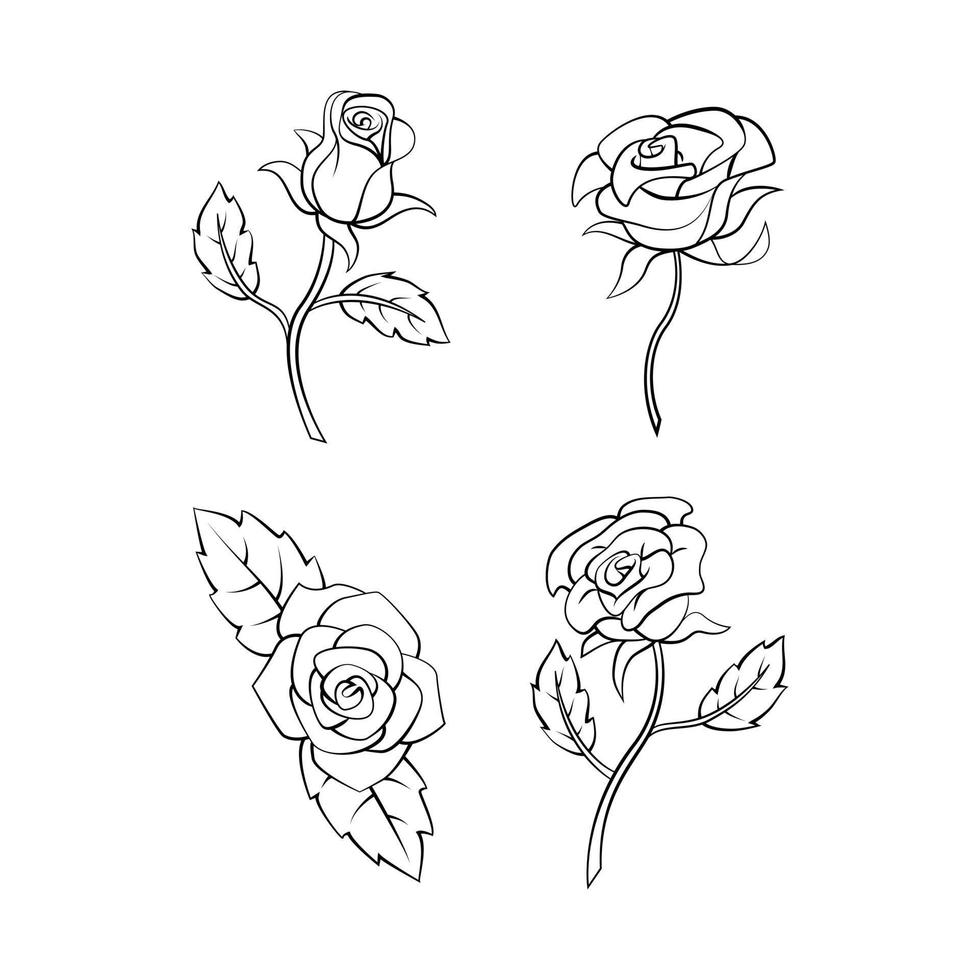 Rosa flor ilustración conjunto colección vector