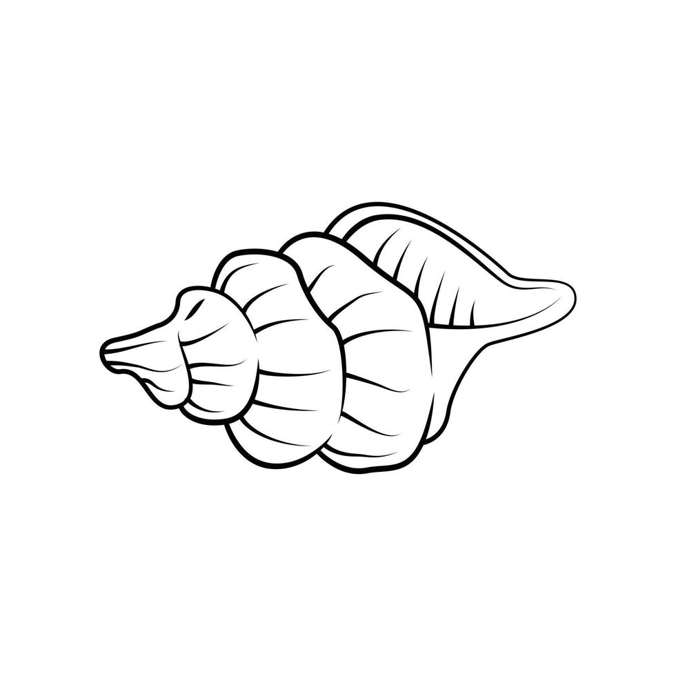 Sea Shell illustration on white background vector