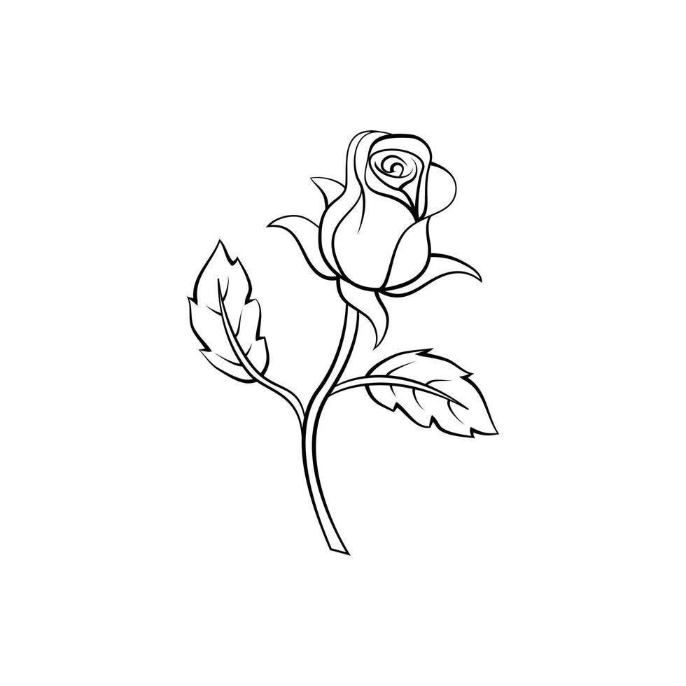 Rose Flower illustration on white background vector