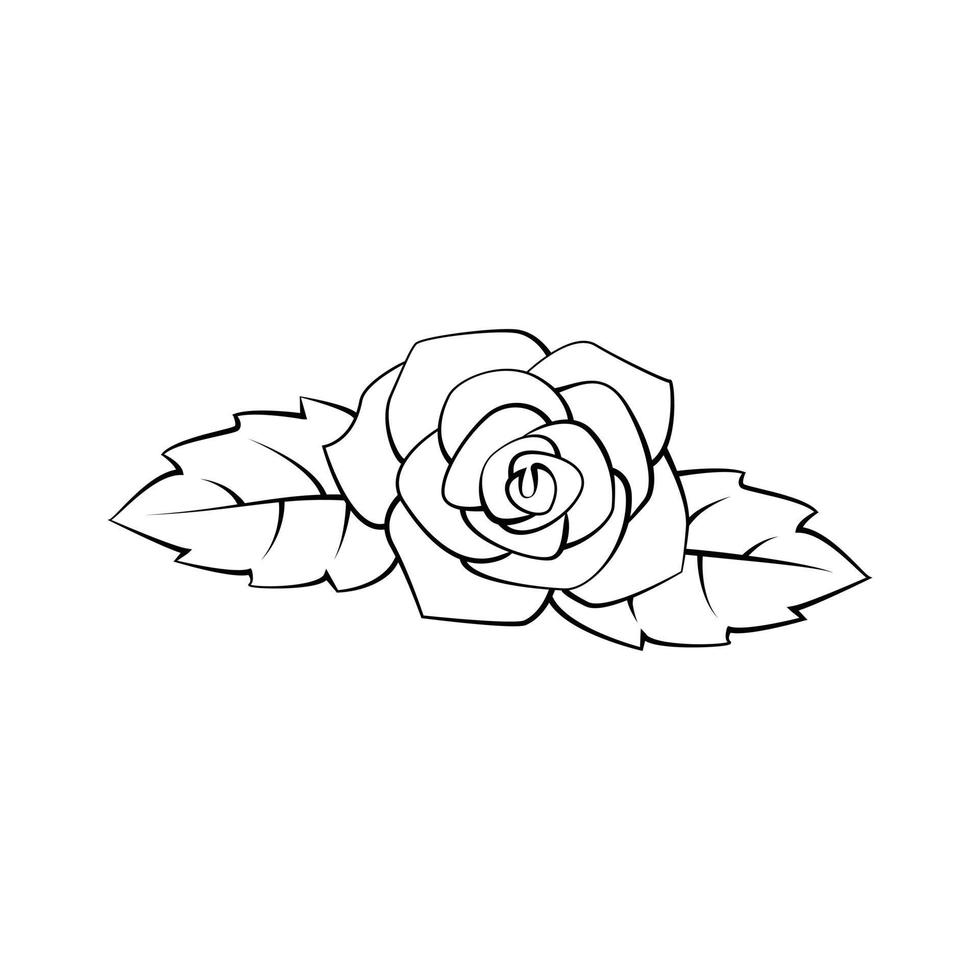 Rose Flower illustration on white background vector