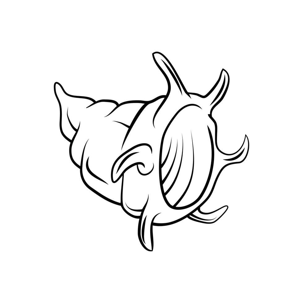 Sea Shell illustration on white background vector