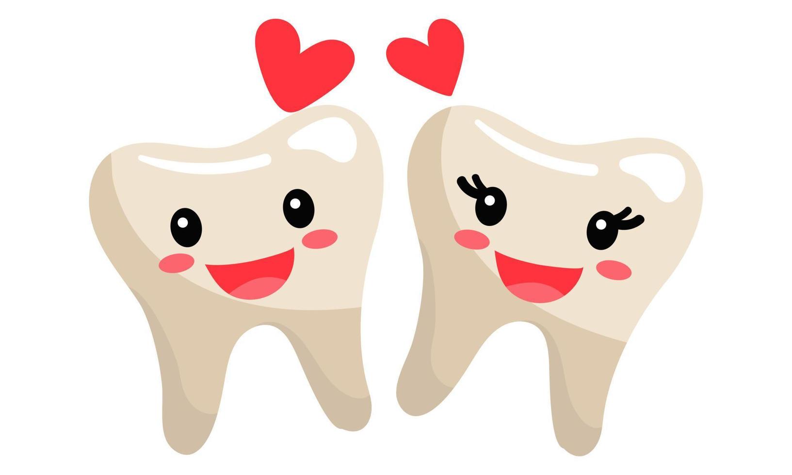 Cute toothy emoticons are in love with each other. Clean, even, joyful teeth with emotions. A girl and a boy and an inscription. Teeth in a flat style on a white background vector