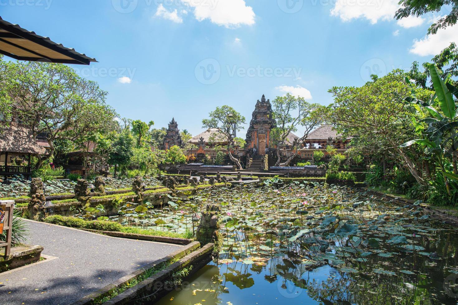 Great view of the pond with lotuses and the entrance to the Balinese temple photo
