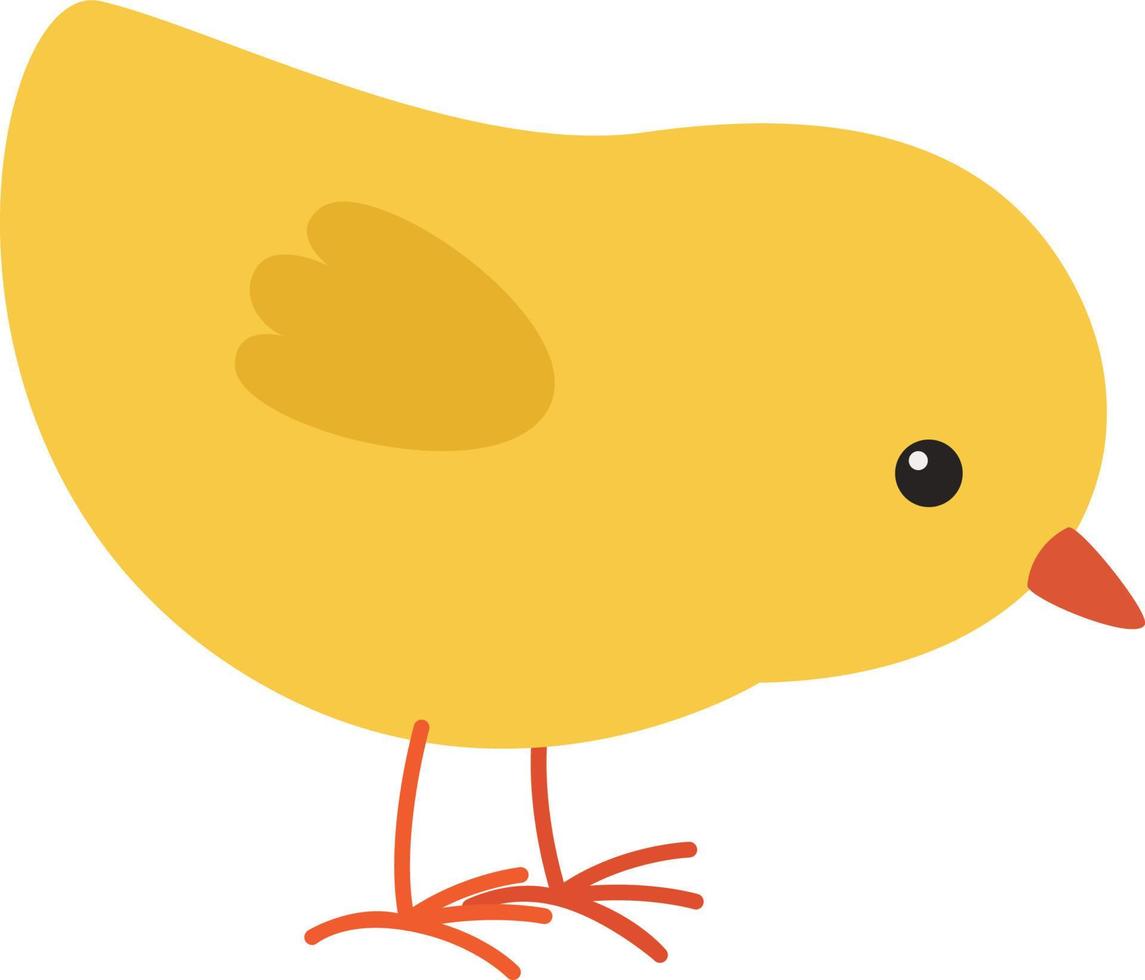 chicken yellow illustration vector
