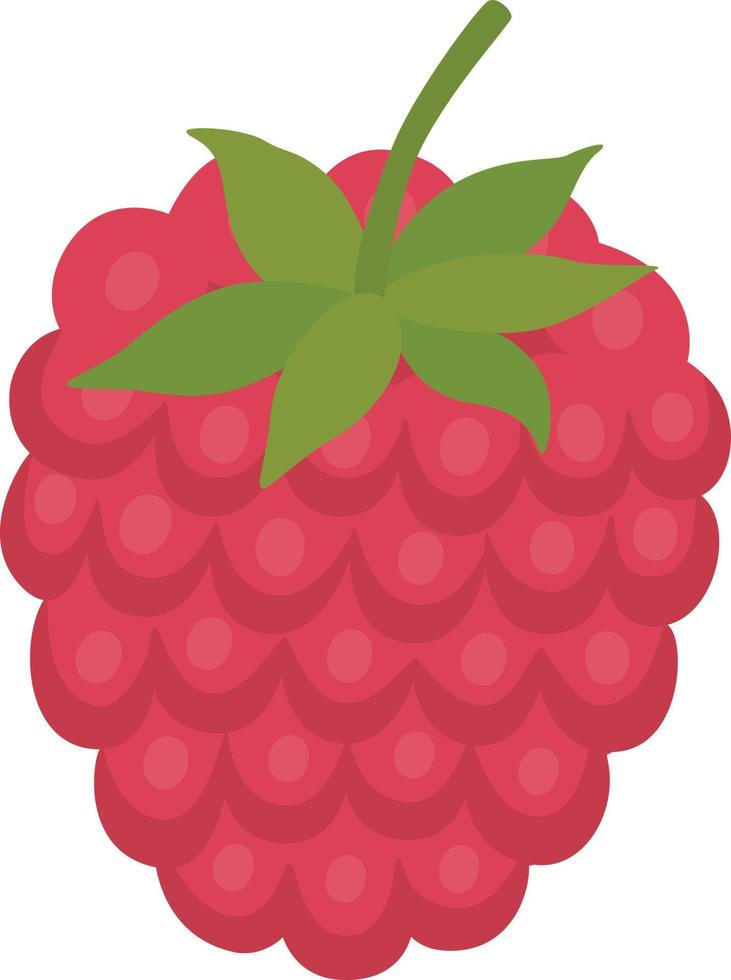 sweet berry a raspberry vector