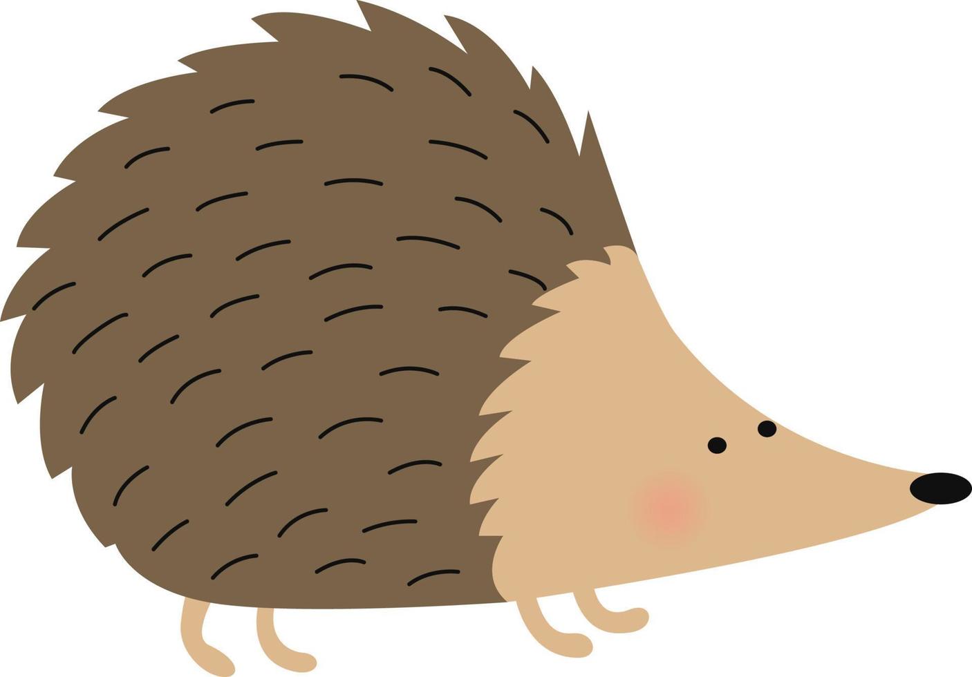 animal Hedgehog illustration vector