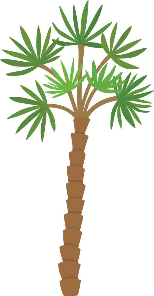 Palm tree illustration vector