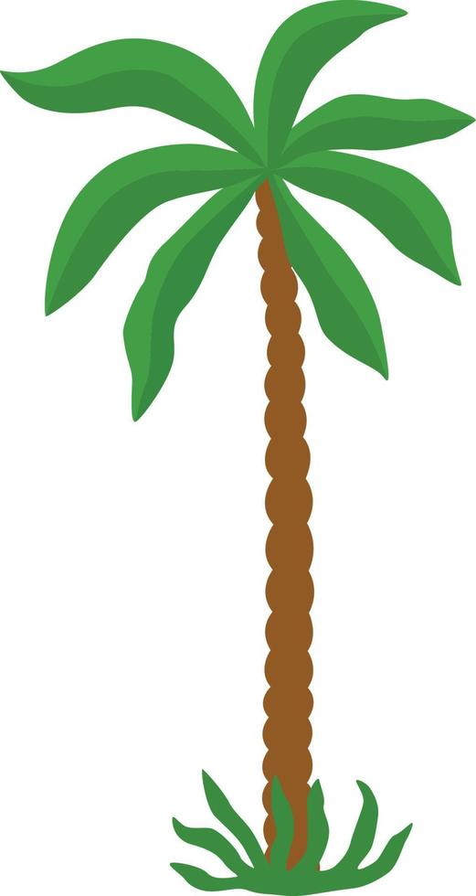 Palm tree illustration vector