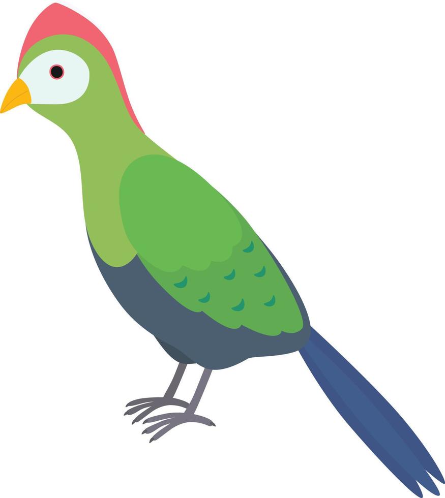 pájaro turaco verde vector