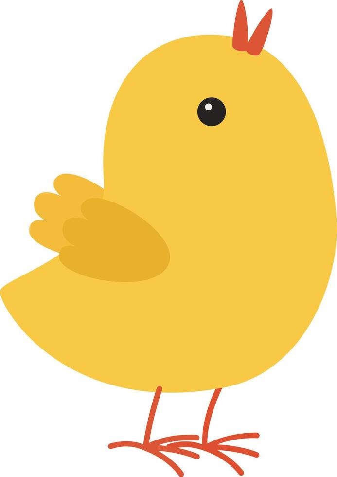 chicken yellow illustration vector