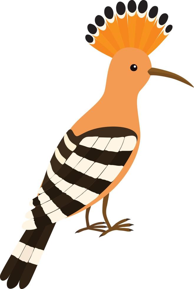 Hoopoe Bird cartoon illustration vector