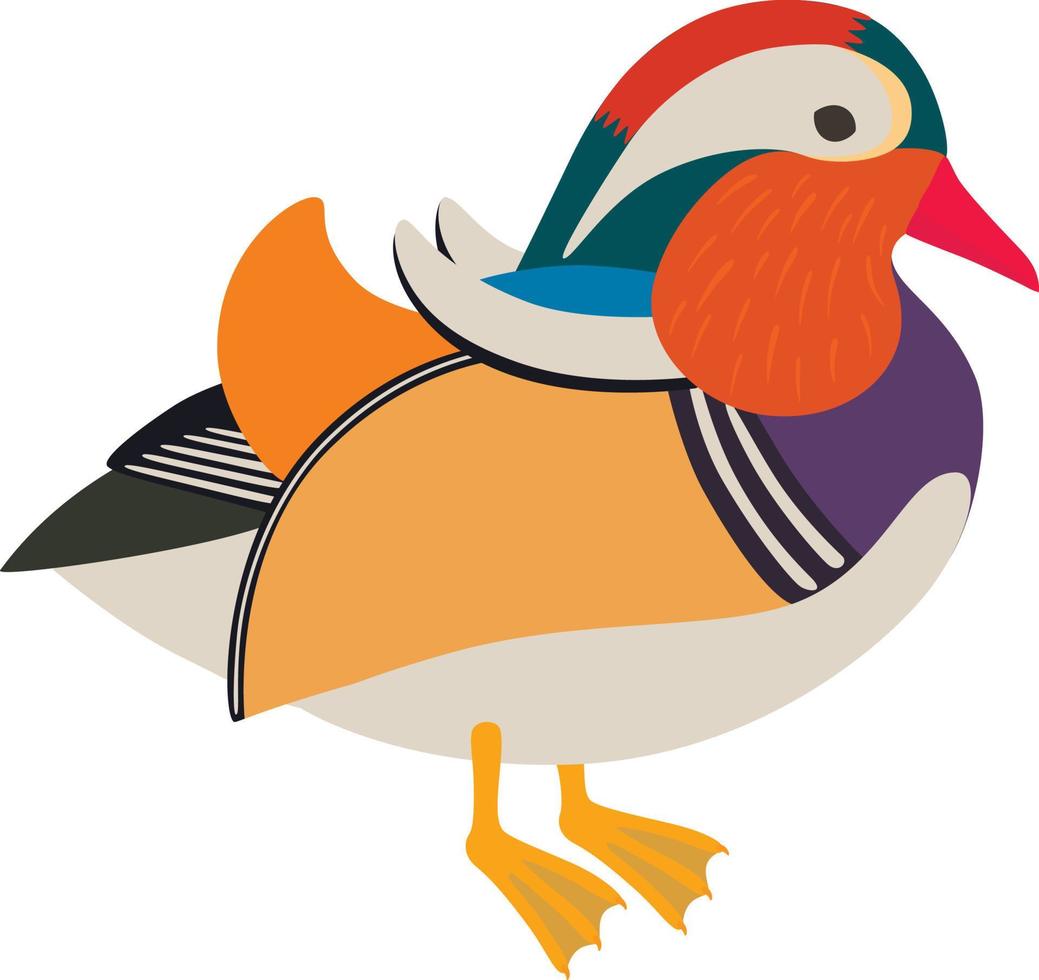 Asian mandarin duck vector