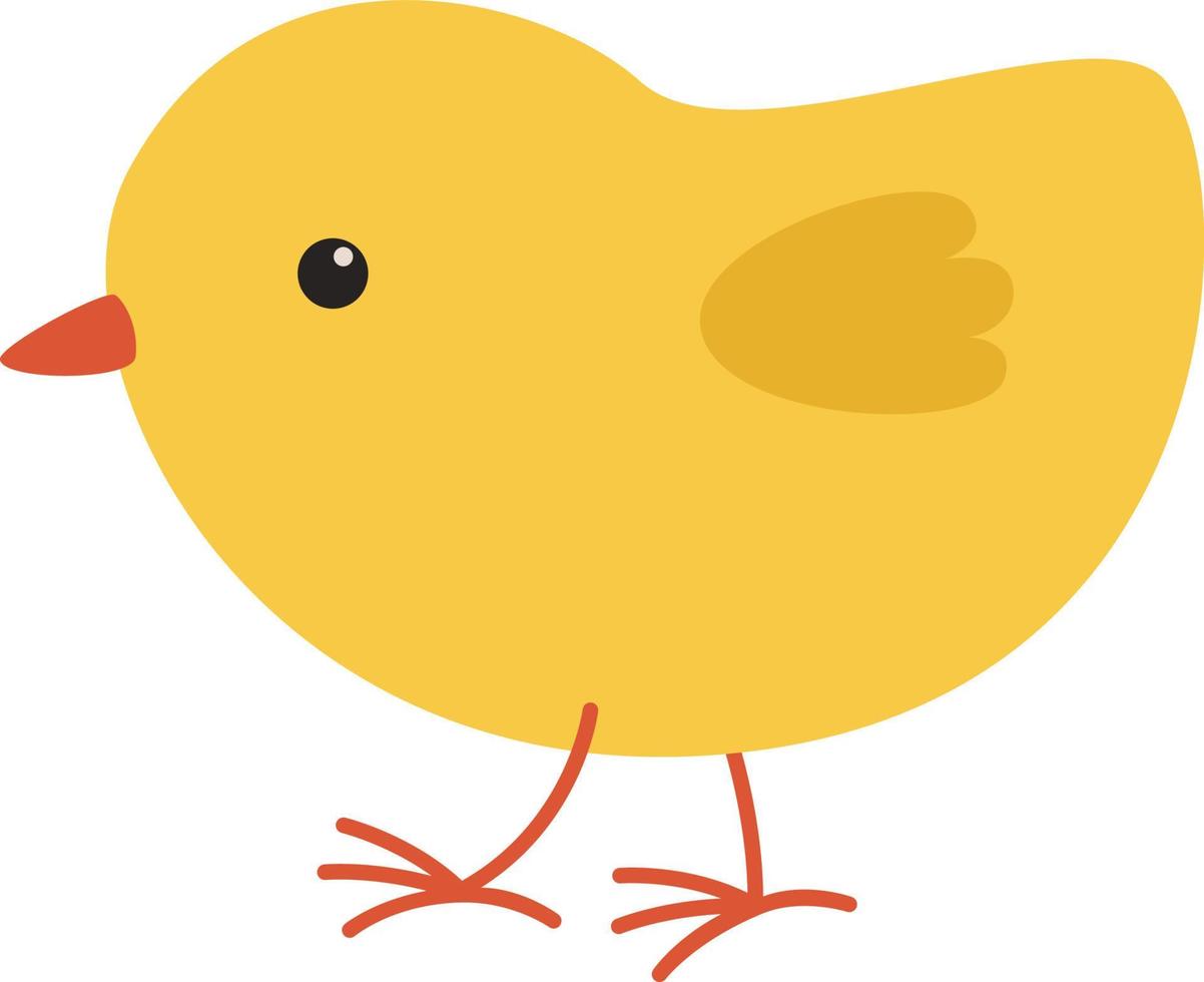 chicken yellow illustration vector