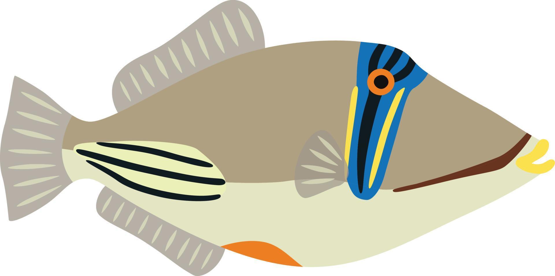 picasso pez gatillo pescado vector