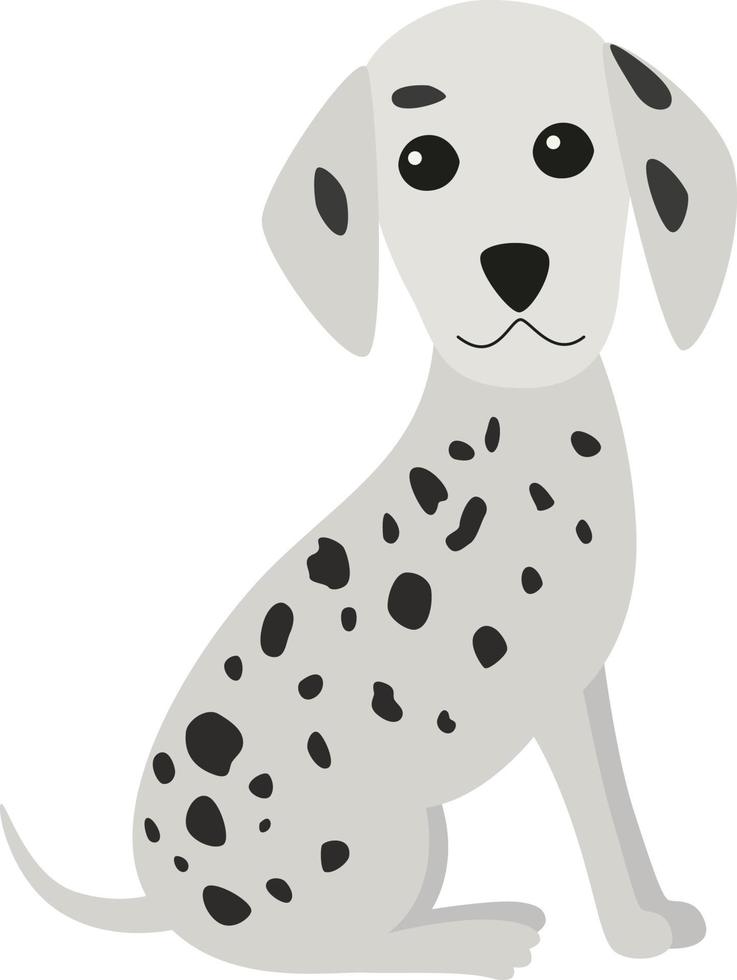Dalmatian dog sitting vector