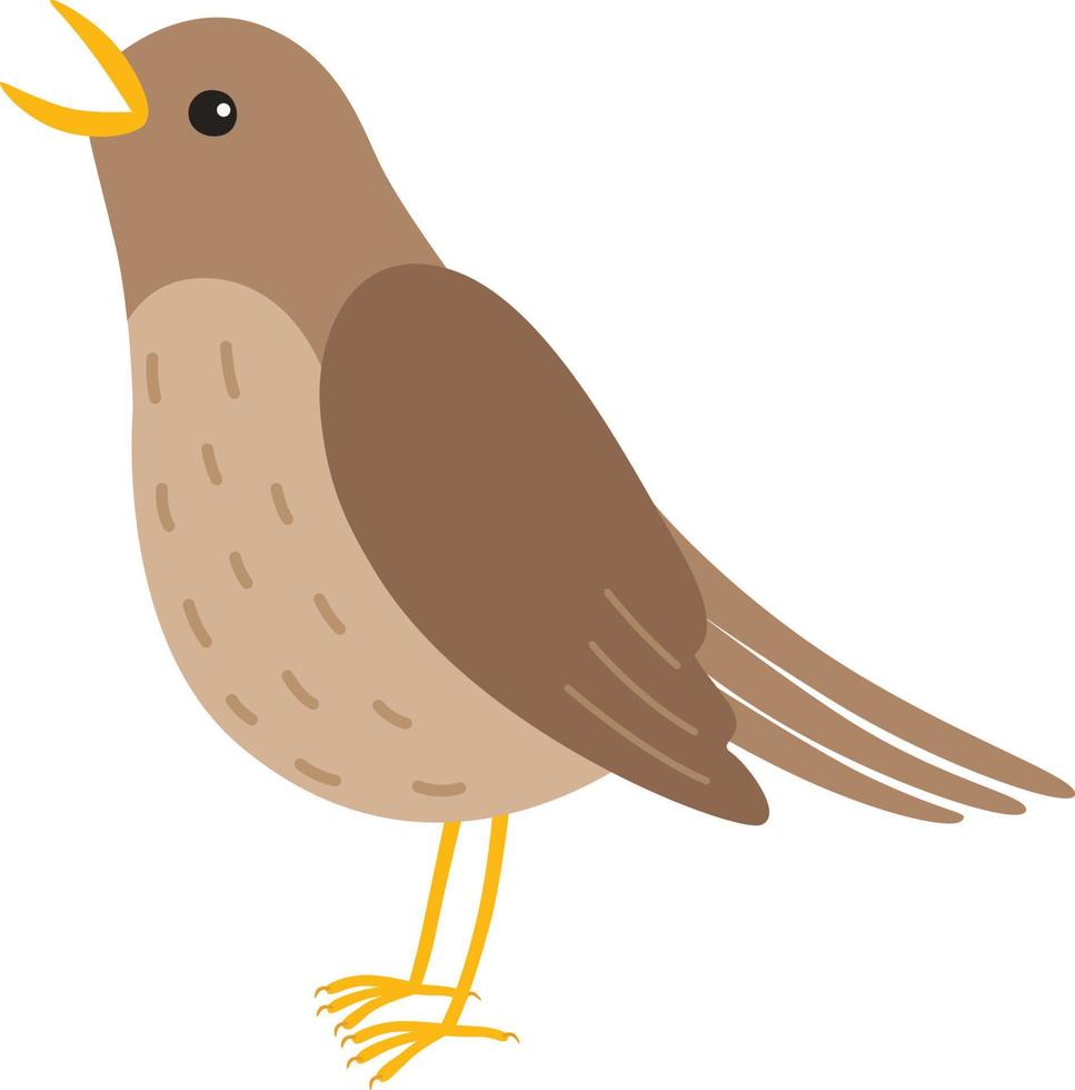 Nightingale bird illustration vector