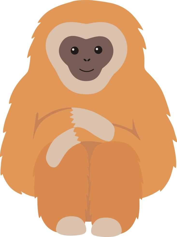 Gibbon primate mammal. Monkey vector