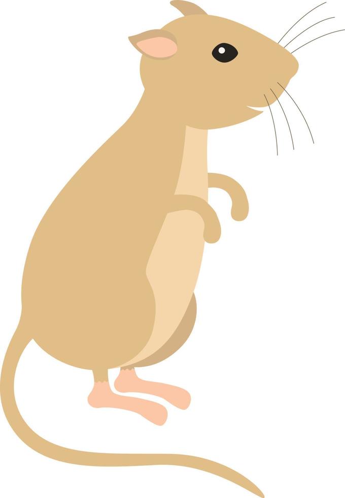 Gerbil sitting on his feet. vector